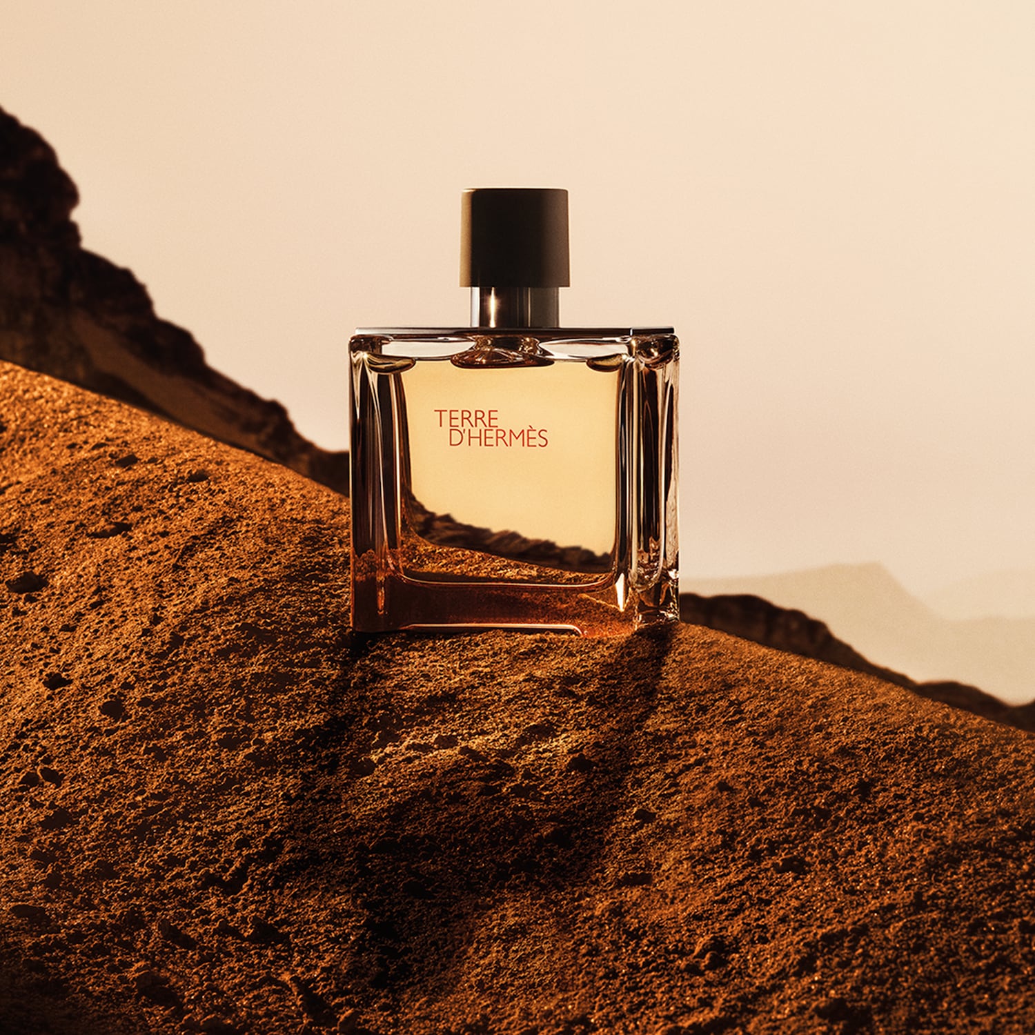 Découvrez Terre d'Hermès, un parfum ambré et boisé présenté dans un flacon transparent aux finitions métalliques, évoquant l'élégance et la sophistication.