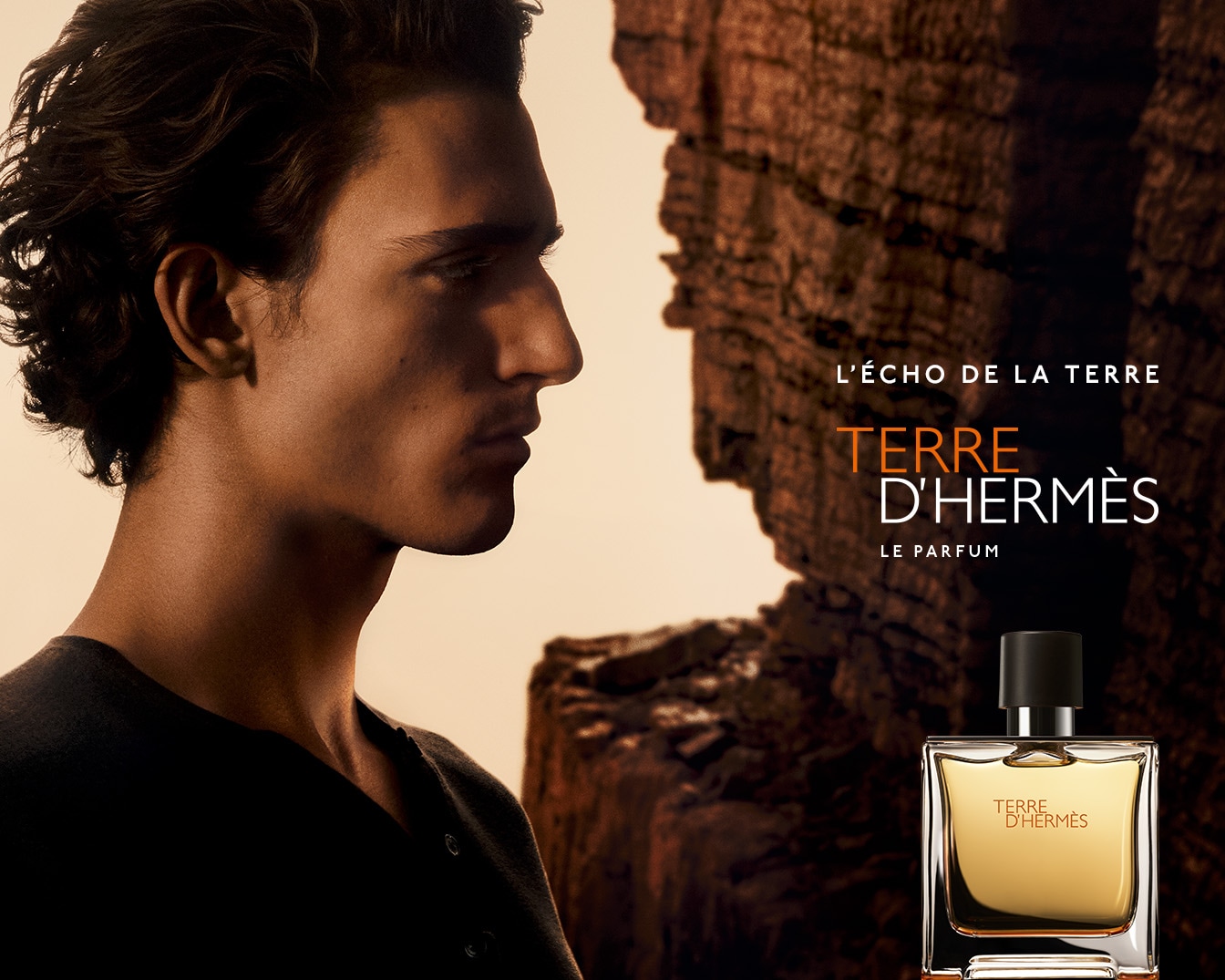 Découvrez Terre D'Hermès Le Parfum, un écho de la terre dans un flacon élégant, incarnant la force et la sophistication masculine.