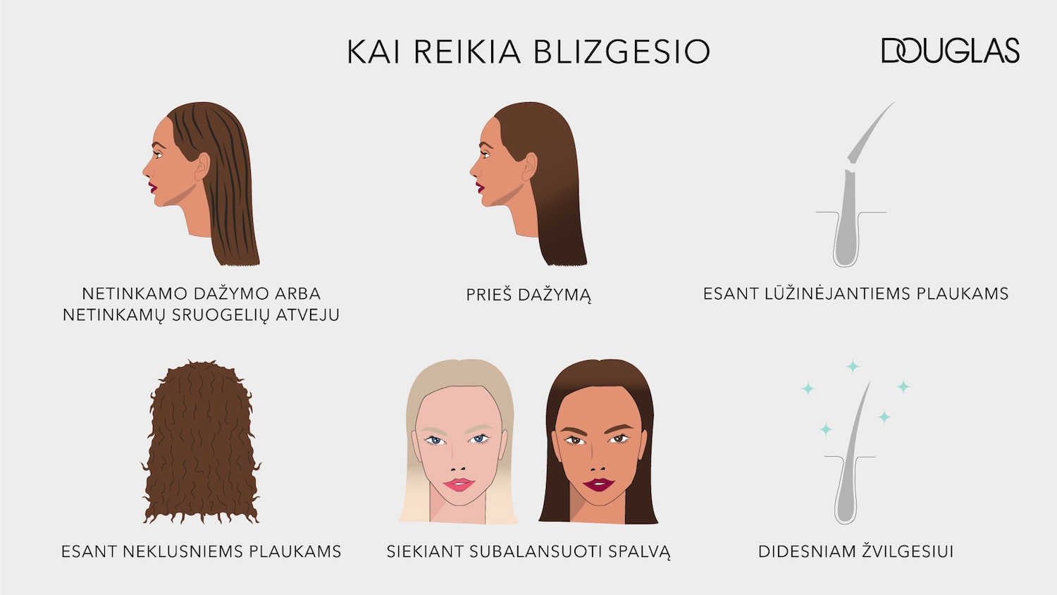 Šviesūs ir tamsūs plaukai pavaizduoti skirtingais stiliais, įskaitant tiesius, garbanotus ir pažeistus, su tekstu "KAI REIKIA BLIZGESIO" viršuje ir "DOUGLAS" logotipu viršuje dešinėje.