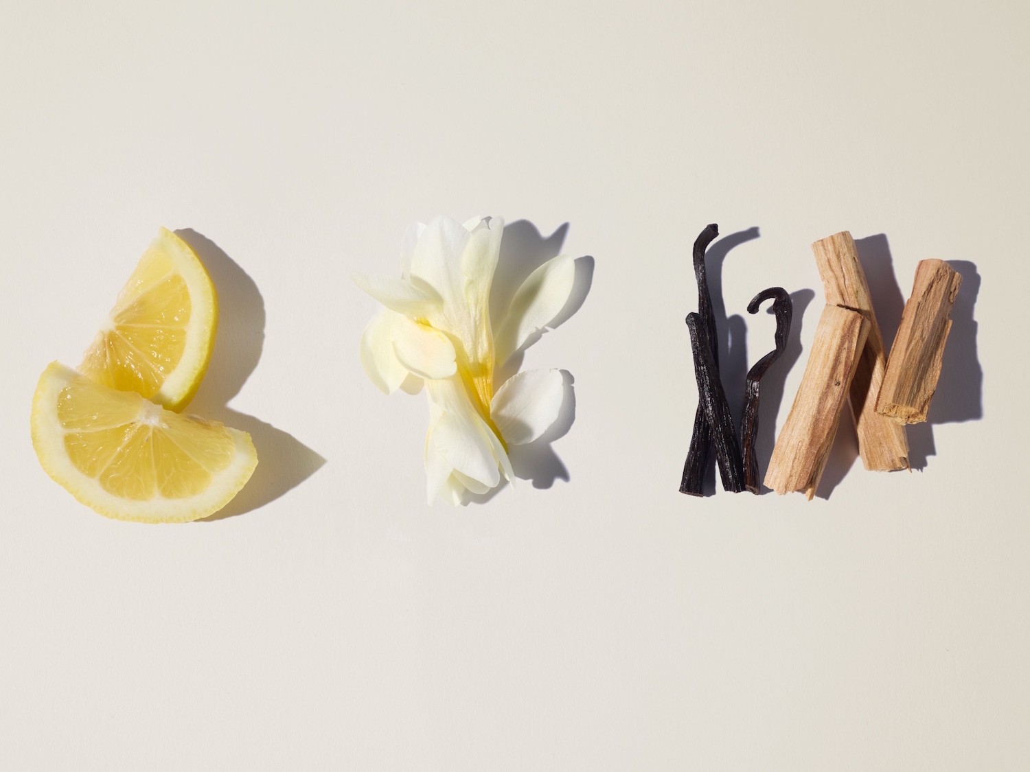 Zitronenscheiben, weiße Blüten, Vanilleschoten und Holzstücke liegen auf einem hellen Hintergrund.