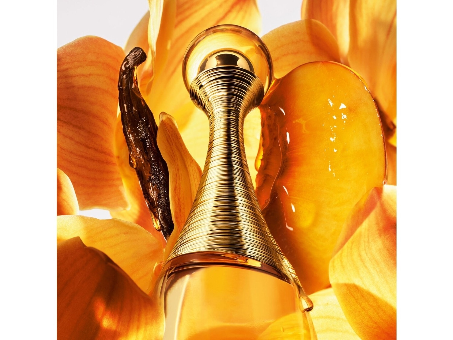 Découvrez J'adore, le parfum emblématique de Dior, dans un écrin doré entouré de pétales d'orchidées et d'une gousse de vanille.