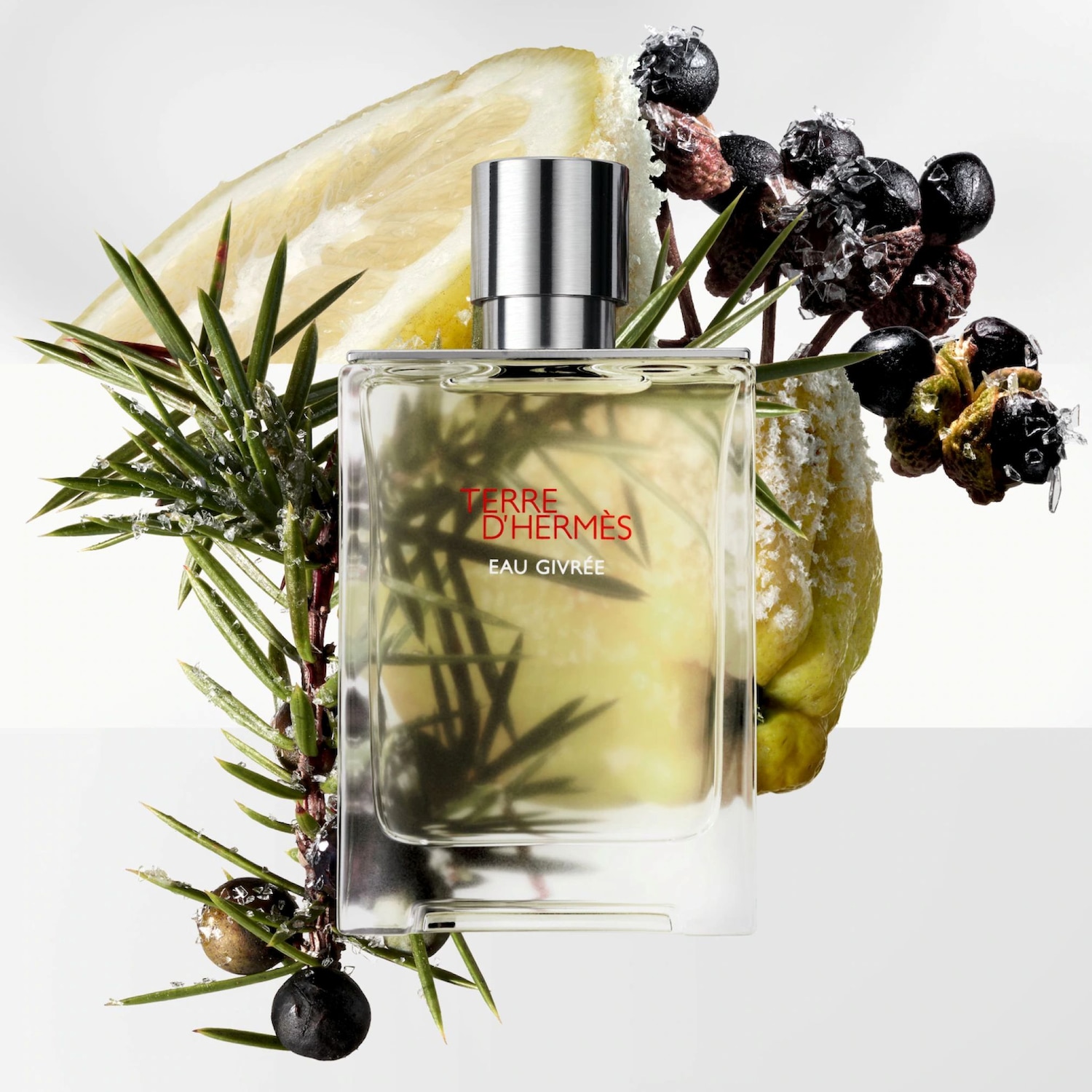 HERMES TERRE D'HERMÈS Eau Givrée 100mL HERMÈS Terre d'Hermès Eau Givrée Eau de Parfum ✔️ online kaufen