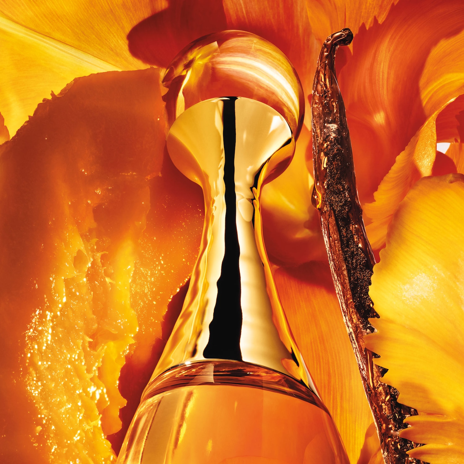  Voluptueux & Solaire