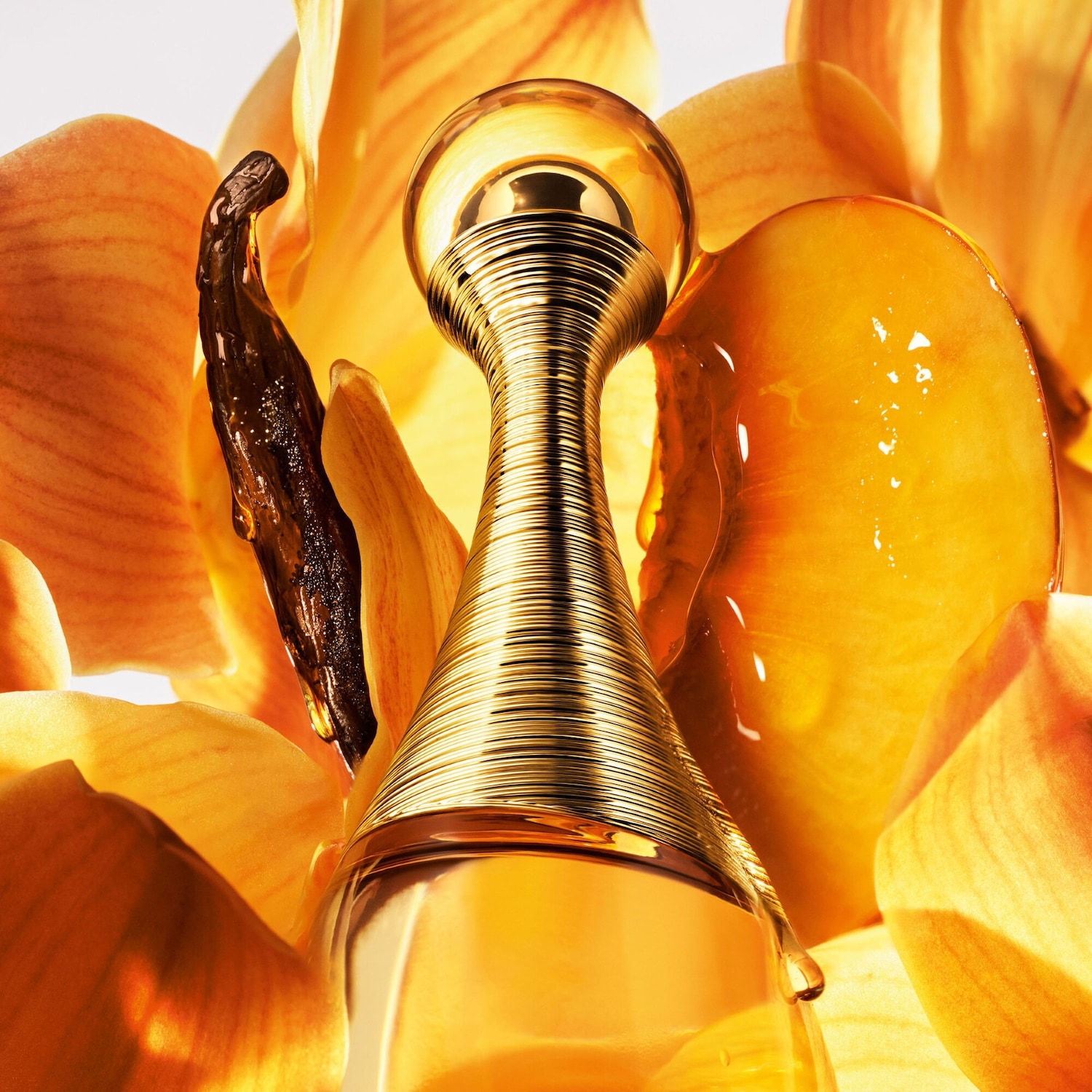 Découvrez le parfum J'adore dans son flacon doré emblématique, entouré de pétales d'orchidées jaunes et d'une gousse de vanille.