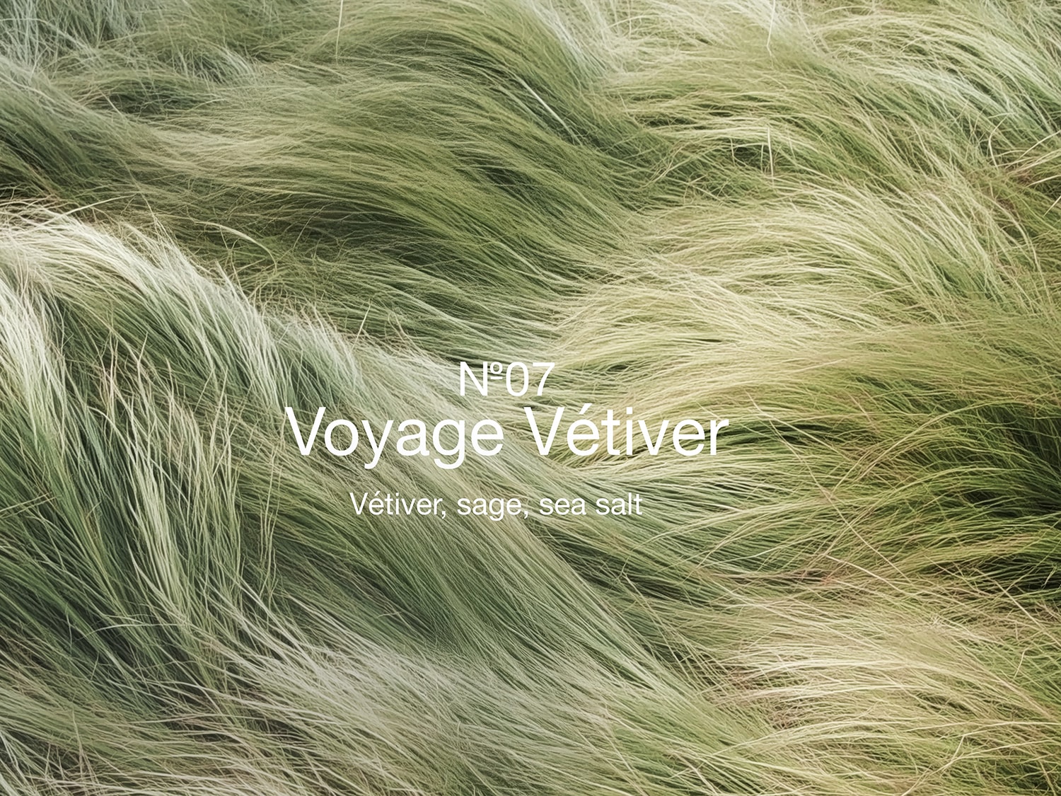 Découvrez N°07 Voyage Vétiver, un parfum aux notes de vétiver, de sauge et de sel marin, évoquant une escapade olfactive.