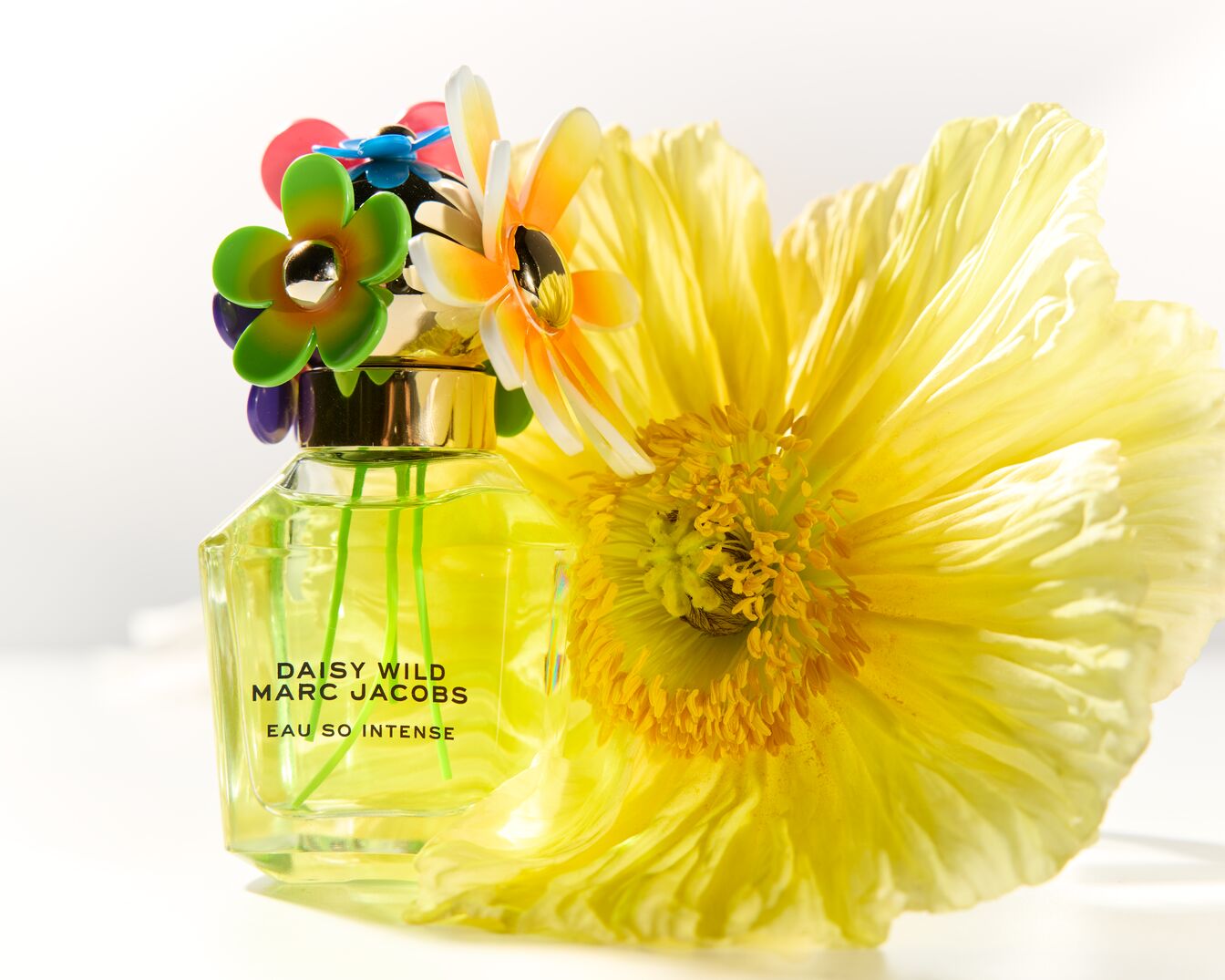 Découvrez Daisy Wild Marc Jacobs Eau So Intense, un parfum floral et fruité dans un flacon orné de fleurs colorées, accompagné d'une fleur jaune éclatante.