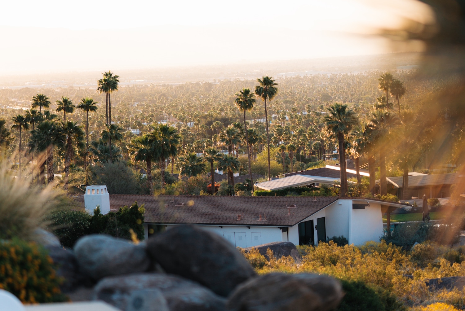 Überblick über eine Landschaft voller Palmen, Häuser und üppigem Grün, die einen ruhigen und friedlichen Ort zeigt.