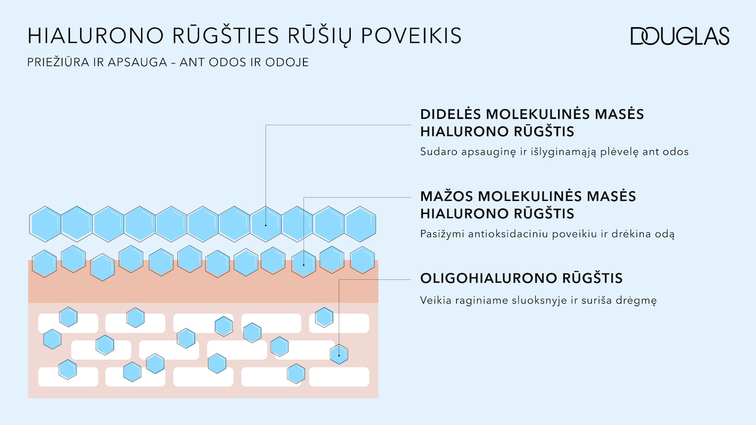 Douglas skelbia apie hialurono rūgšties naudą odai, pavyzdžiui, apsaugą ir priežiūrą, su trimis skirtingų tipų hialurono rūgštimis, kurios drėkina odą.