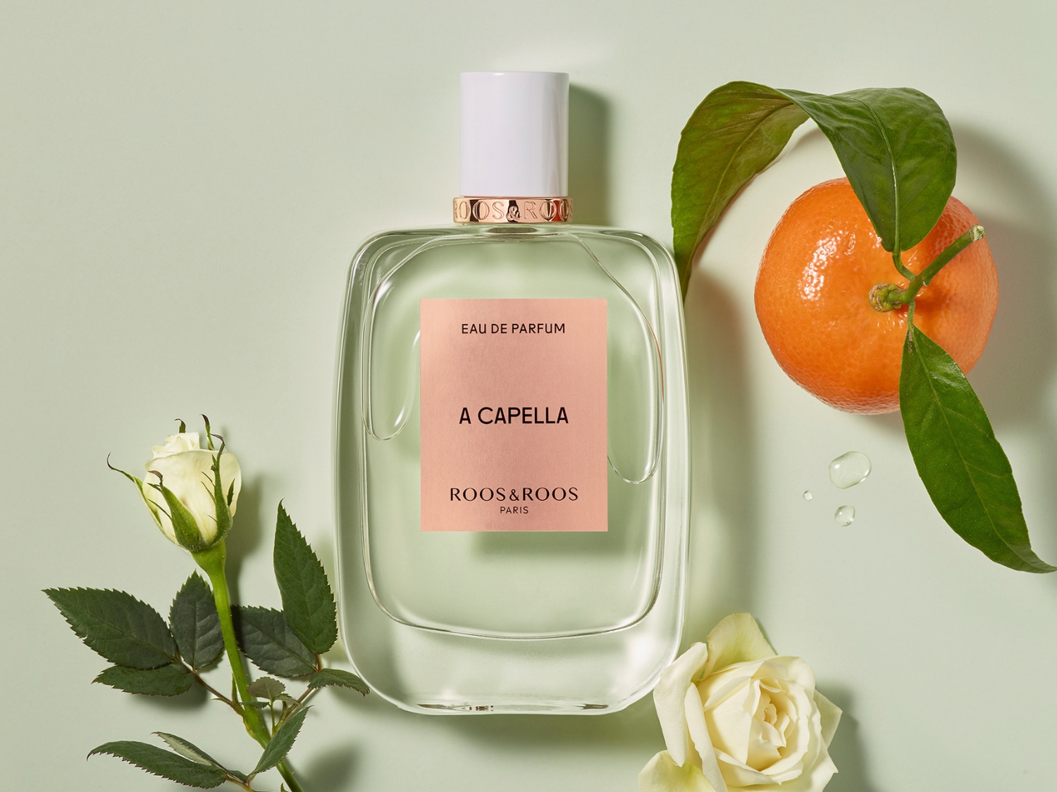 Découvrez A Capella de Roos&Roos Paris, un parfum élégant dans un flacon transparent, agrémenté d'une étiquette rose, de roses blanches et d'une mandarine fraîche.
