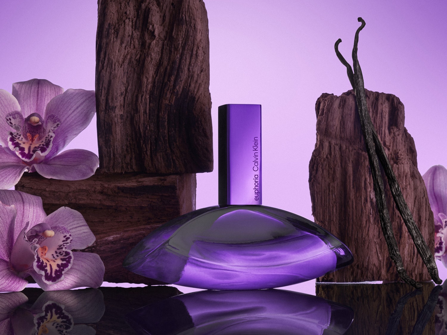 Fialový flakón parfému Calvin Klein Euphoria obklopený kvetmi orchideí, kúskami dreva a vanilkovými strukmi vytvára zmyselnú kompozíciu.
