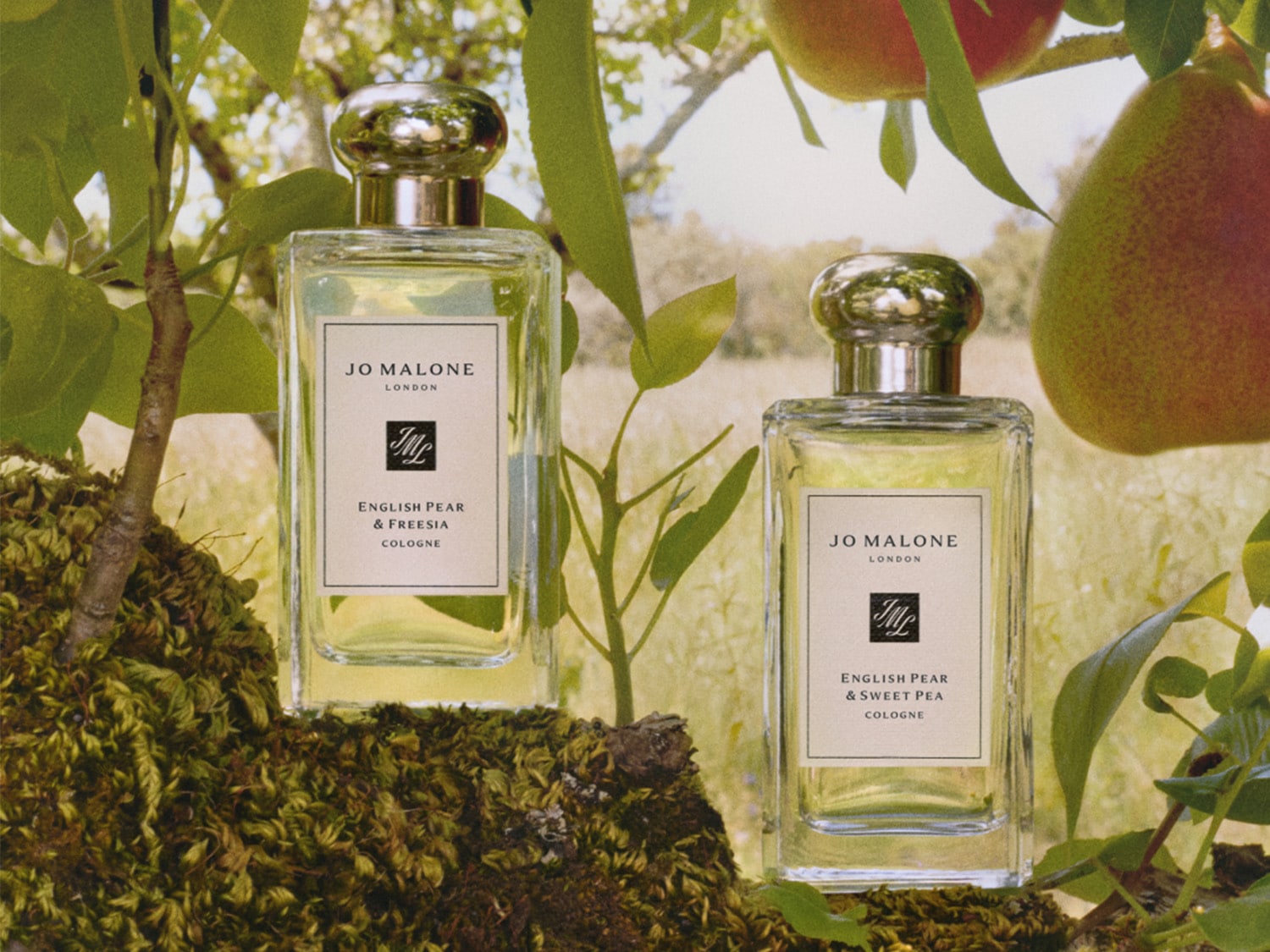 Zwei Flakons Jo Malone London Cologne, einmal English Pear & Freesia und einmal English Pear & Sweet Pea, stehen auf moosbedecktem Untergrund, umgeben von Blättern und Birnen.
