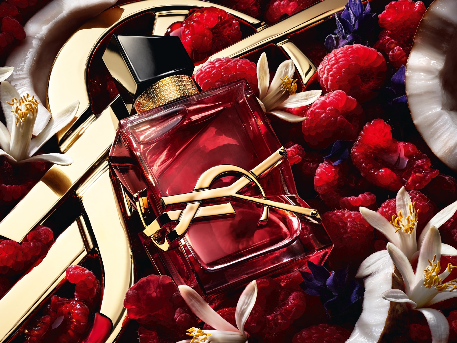 Roter Parfümflakon von Yves Saint Laurent mit goldenem Logo, umgeben von Himbeeren, weißen Blüten und Kokosnussstücken.