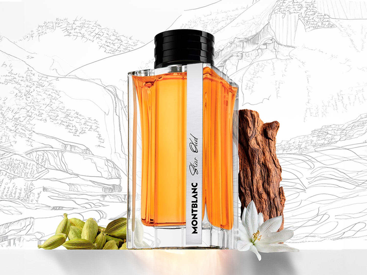 Butelka perfum Montblanc Star Oud z bursztynowym płynem, otoczona zielonym kardamonem, kawałkiem drewna i białym kwiatem na tle szkicu krajobrazu.