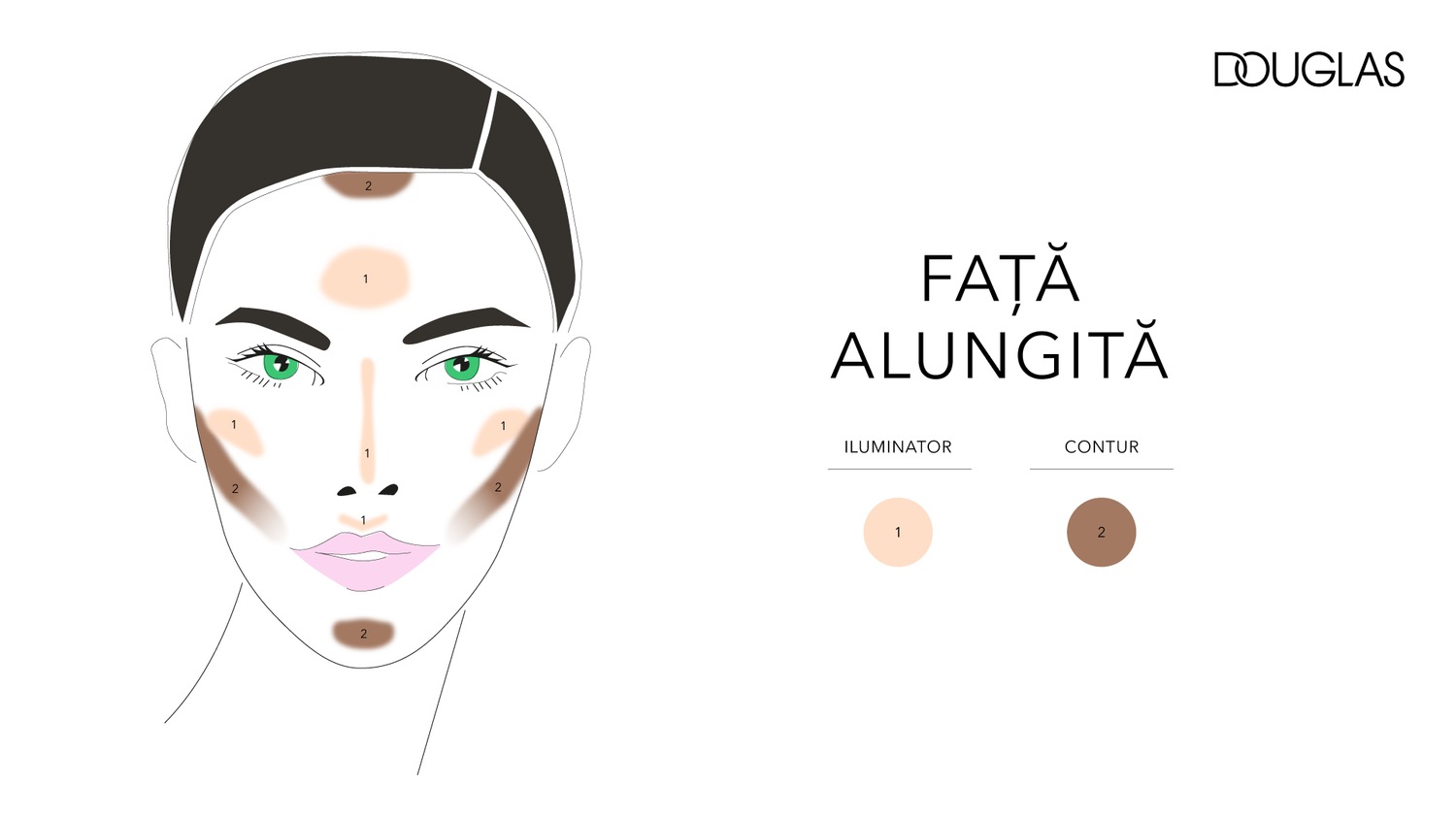 Ilustrație cu o față feminină stilizată, arătând zonele de aplicare a iluminatorului (culoare piersicii) și a conturului (culoare maro), pentru a defini trăsăturile unei fețe alungite, marca Douglas.