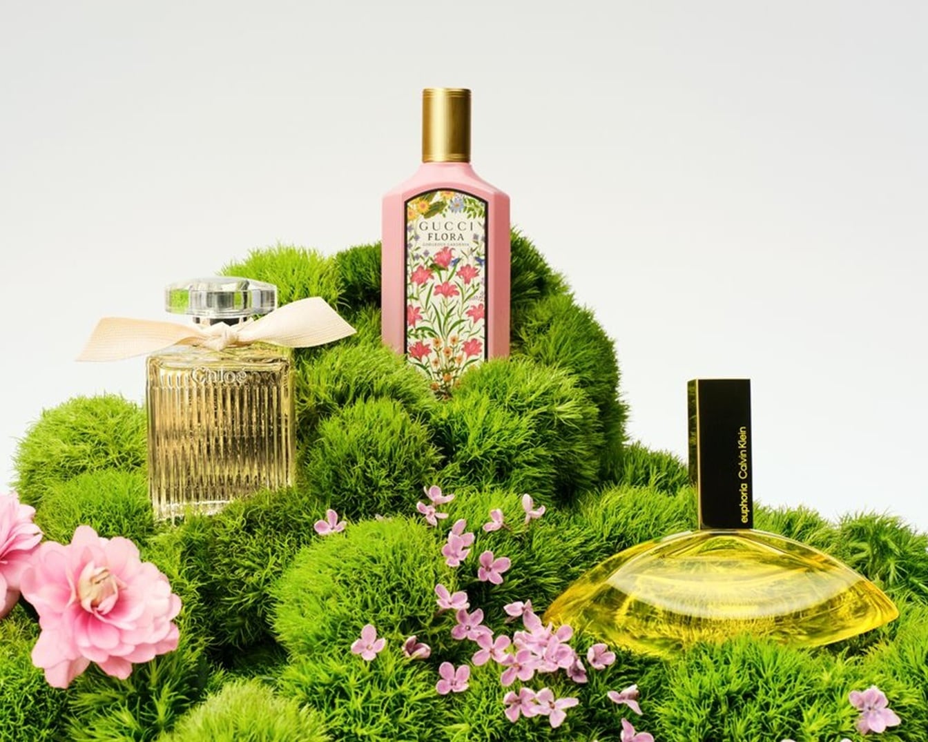 Eine Auswahl an Parfums, darunter Gucci Flora in einem rosa Flakon mit Blumenmuster, Chloé mit einer Schleife und Calvin Klein Euphoria, präsentiert auf einem Bett aus grünem Moos und zarten rosa Blüten.