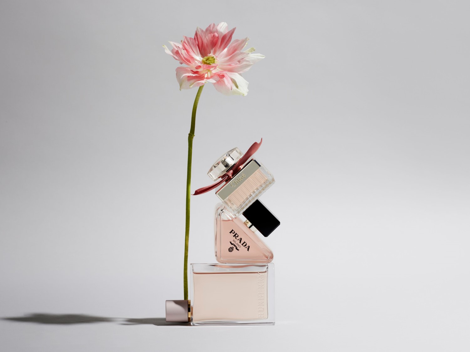 Een stapel van verschillende parfumflessen, waaronder merken als Prada en Burberry, met een roze bloem die elegant bovenop staat.