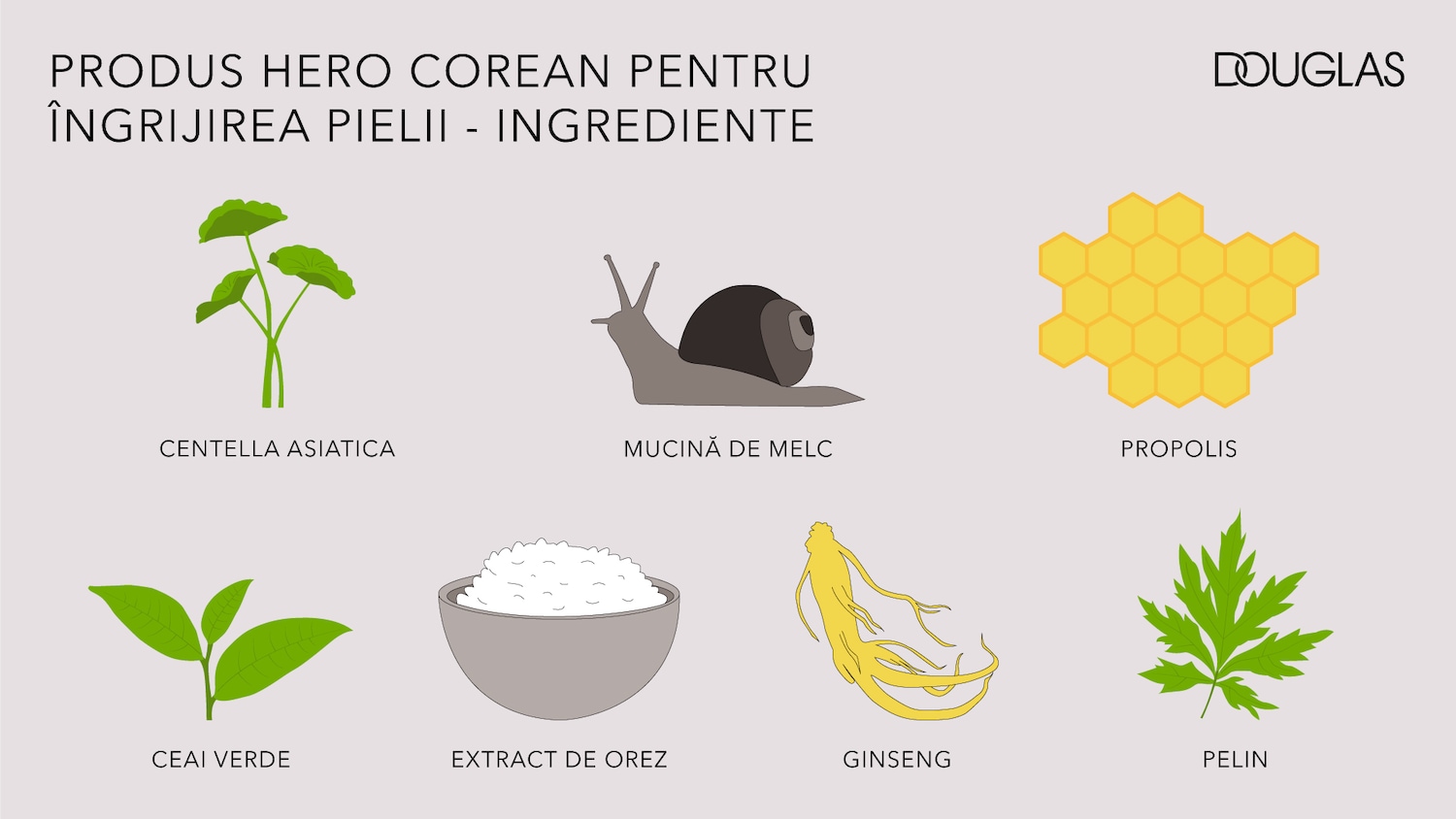 Produs hero corean pentru îngrijirea pielii - ingrediente: Centella Asiatica, mucină de melc, propolis, ceai verde, extract de orez, ginseng, pelin.