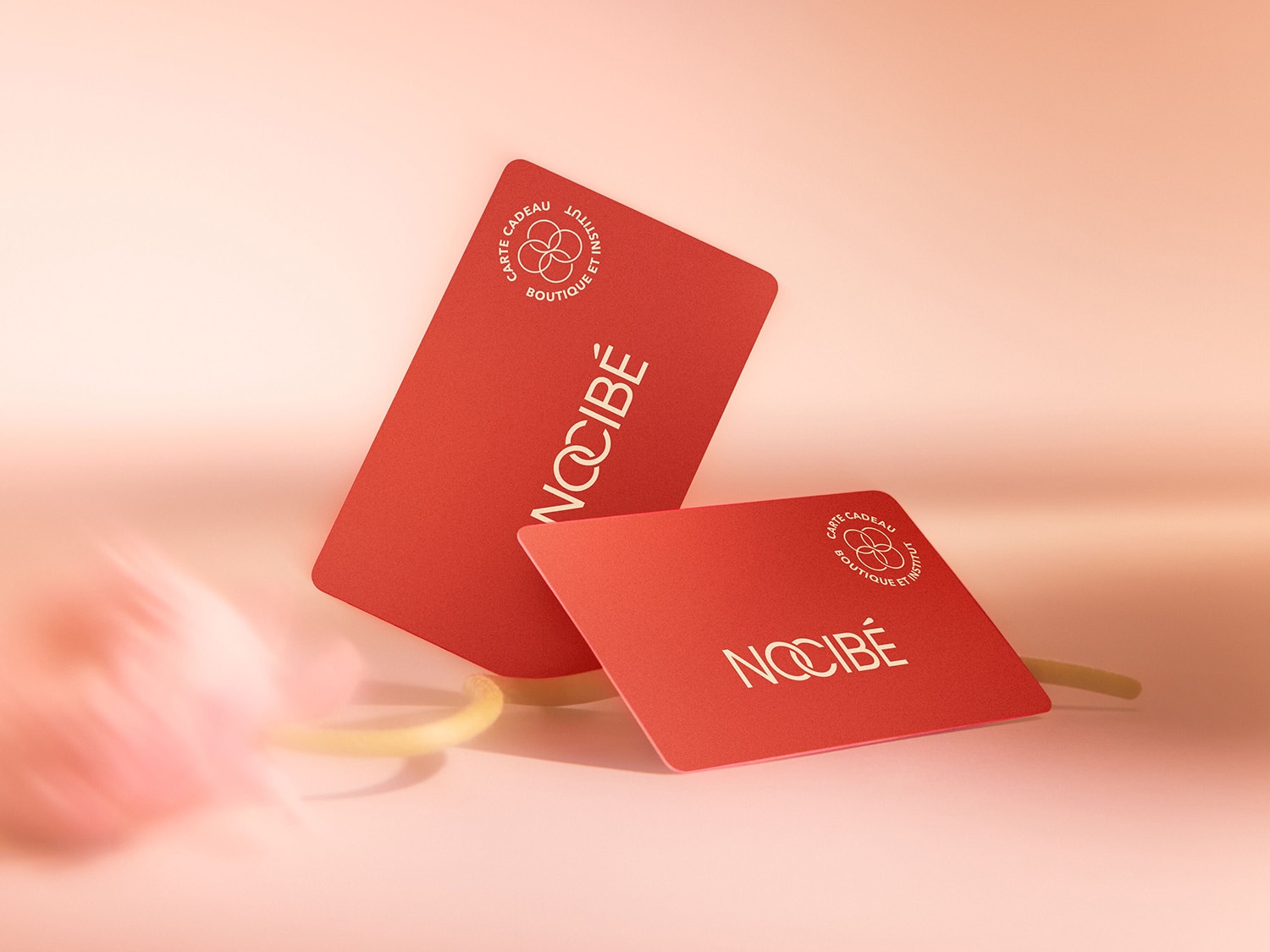 Voici deux cartes cadeaux Nocibé rouges, parfaites pour offrir une expérience beauté personnalisée.