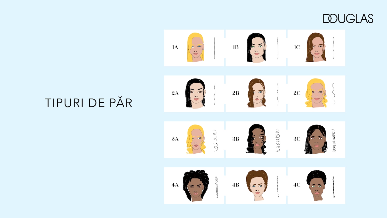 Ilustrație cu diferite tipuri de păr, de la 1A la 4C, prezentând texturi variate, de la drept la afro, sub marca Douglas.