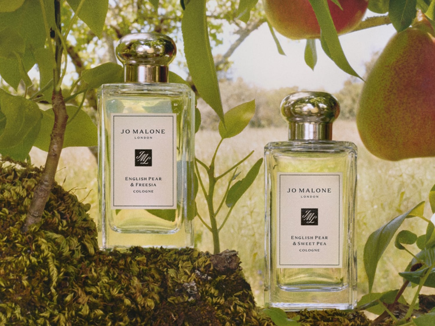 Dva flakony kolínské Jo Malone London English Pear, jeden s vůní frézie a druhý s vůní hrachoru, stojí na mechu s ovocem a zelenými listy v pozadí.