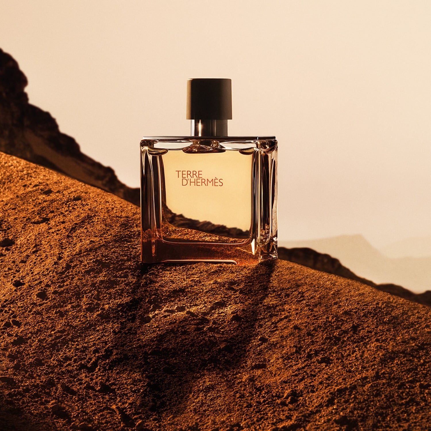 TERRE D'HERMÈS 100ミリ Terre d'Hermès Eau de Parfum Intense - 100 ml | Hermès Schweiz