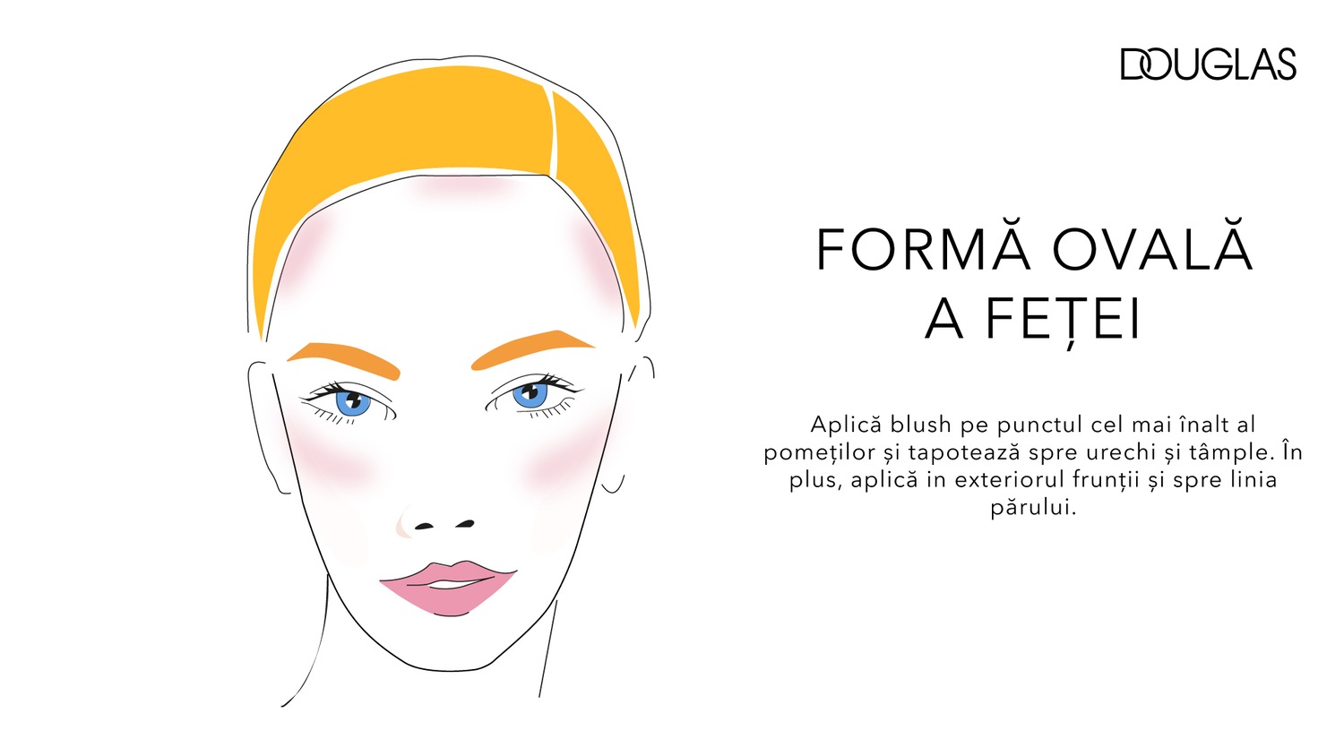 Ilustrație cu o față ovală, cu blush roz pe pomeți și tâmple, indicând aplicarea blush-ului de la pomeți spre urechi și tâmple, plus aplicarea pe exteriorul frunții spre linia părului.