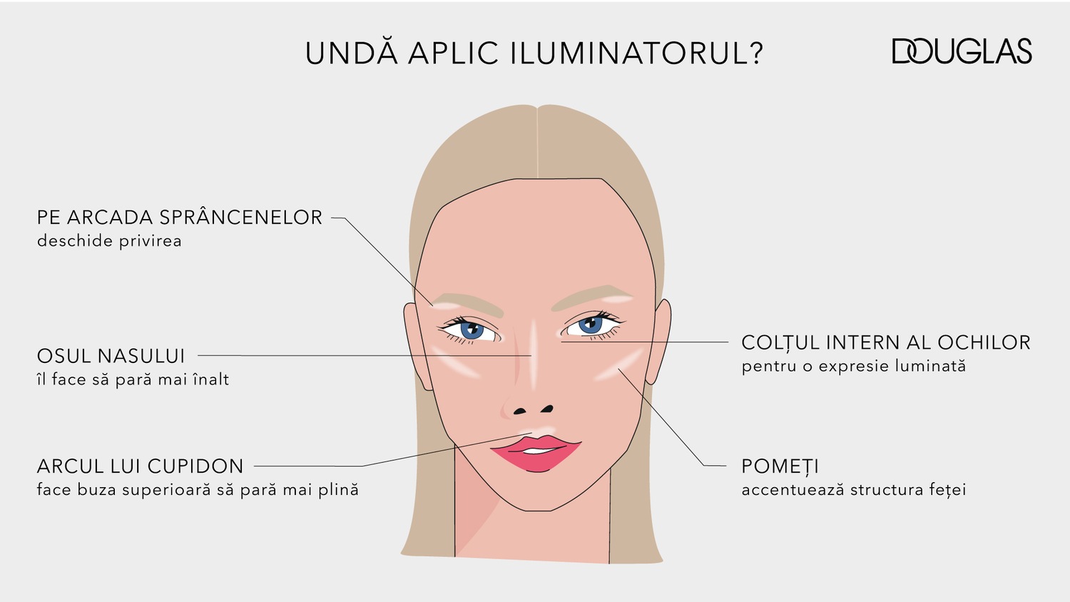 Ilustrație cu o față feminină care arată zonele unde se aplică iluminatorul: arcada sprâncenelor, osul nasului, arcul lui Cupidon, colțul intern al ochilor și pomeții.