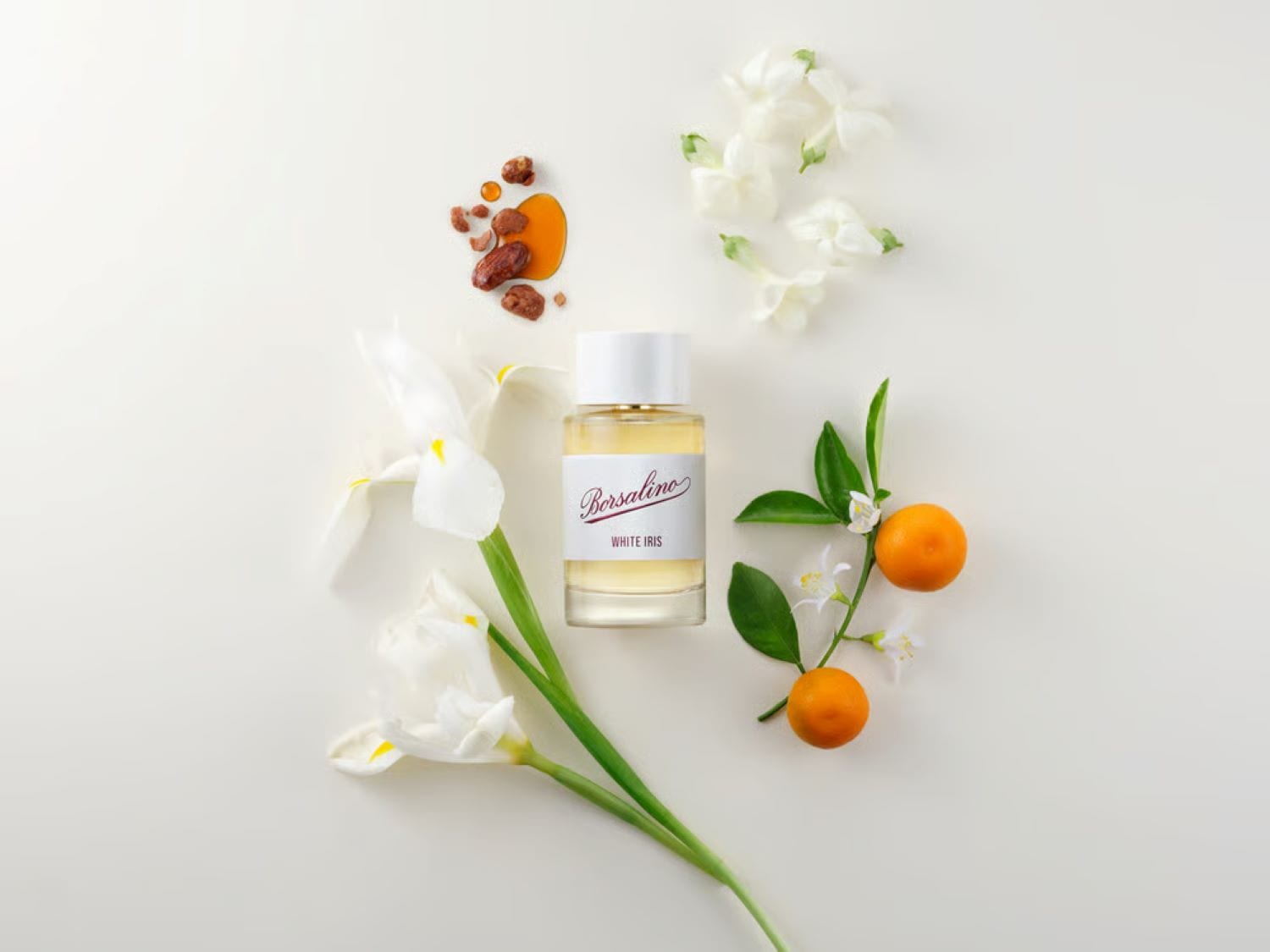 Prezentare aerisită a parfumului Borsalino White Iris, înconjurat de flori albe delicate, citrice proaspete și accente calde de ambră, evocând o aromă florală și fructată.