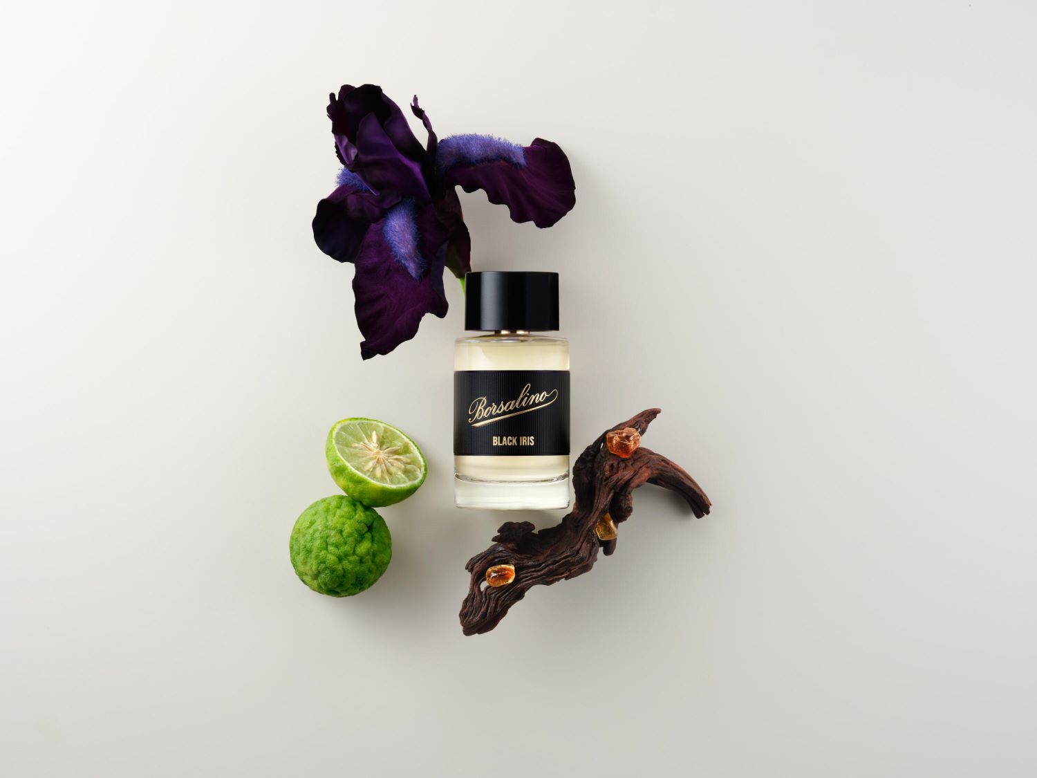 O sticlă de parfum Borsalino Black Iris este așezată lângă o floare de iris violet închis, o felie de limetă verde și o bucată de lemn maro.