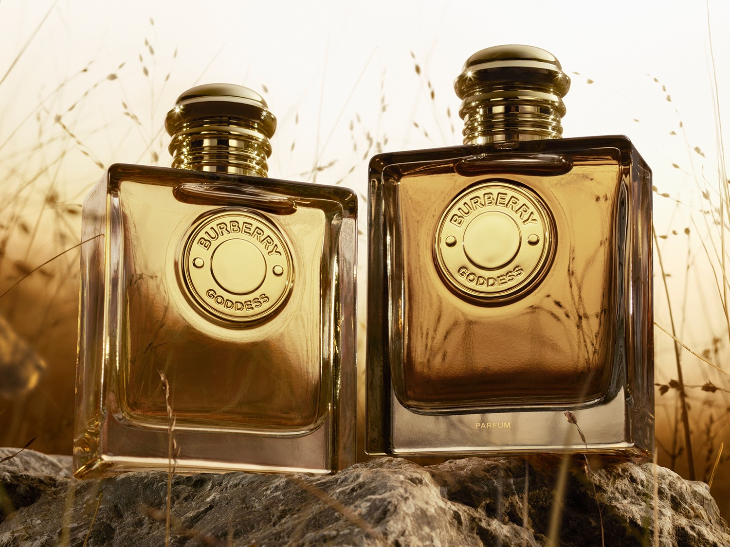 Două sticle pătrate de parfum Burberry Goddess, cu capace aurii, stau pe o piatră, emanând o aură luxoasă și sofisticată.