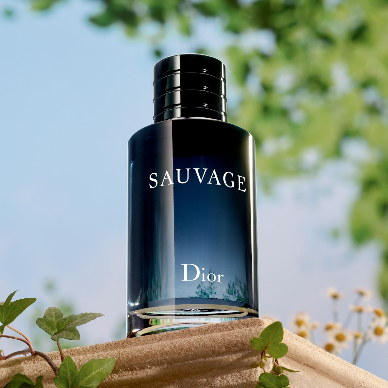 Découvrez Sauvage de Dior, un parfum masculin intense dans un flacon bleu-noir élégant, posé sur une base sableuse avec des touches de verdure.