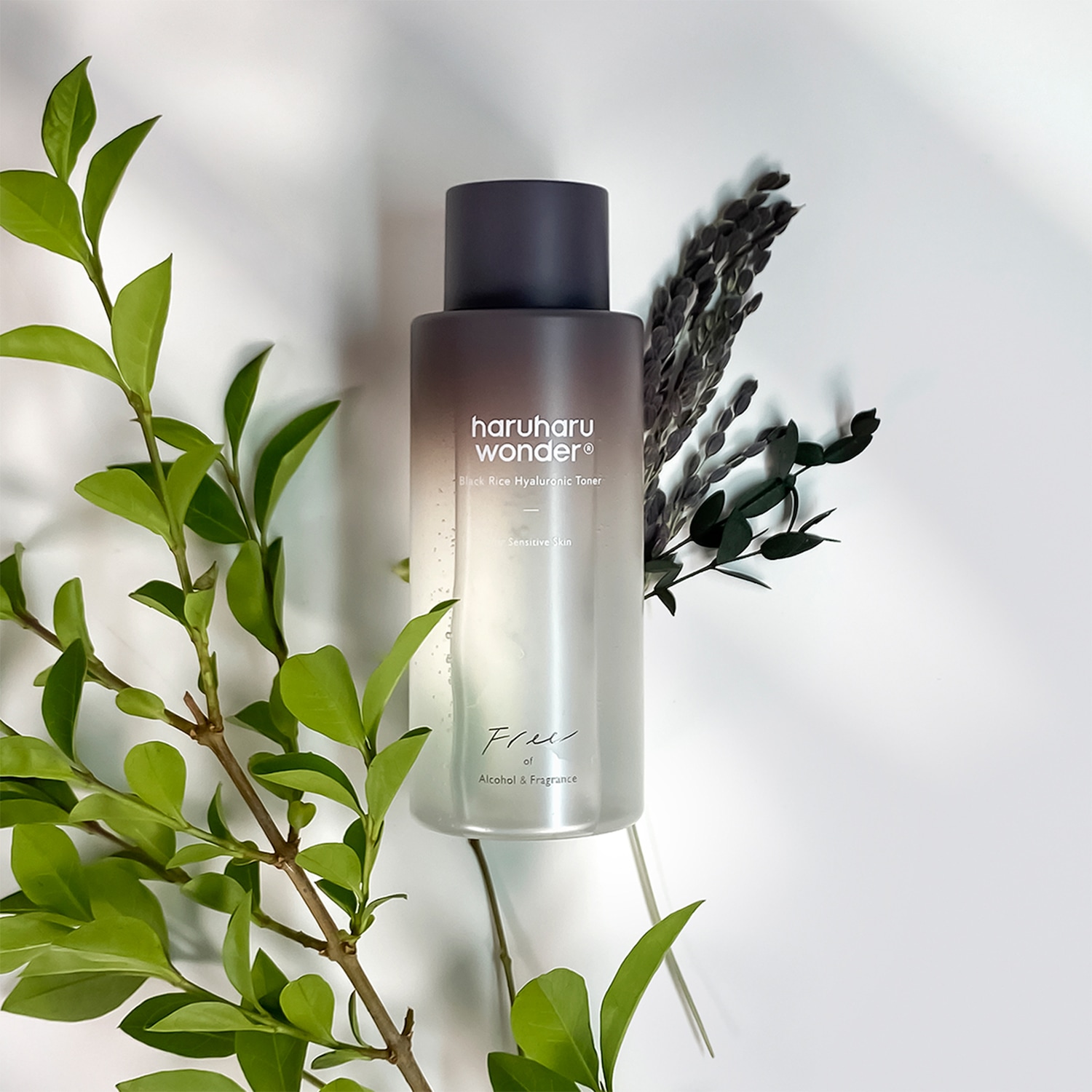 Tonico all'acido ialuronico di riso nero Haruharu Wonder in una bottiglia sfumata bianca e grigia, con accenti botanici, ideale per pelli sensibili.
