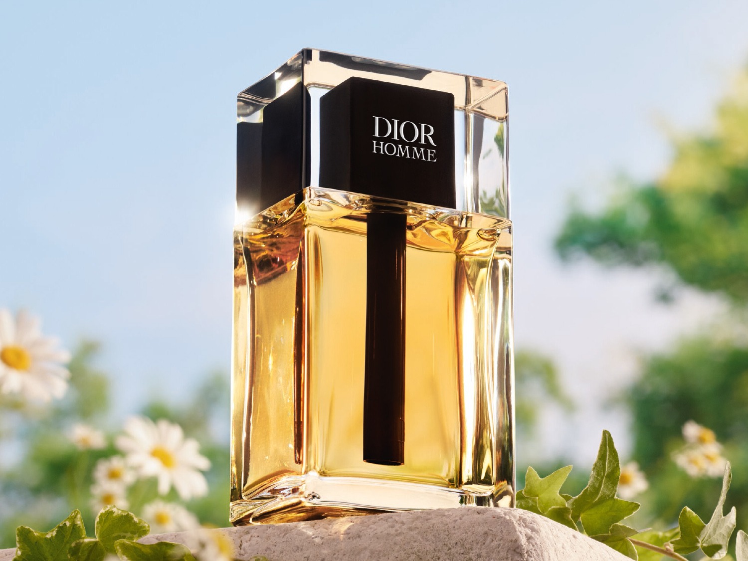 Parfum Dior homme sur un fond estival