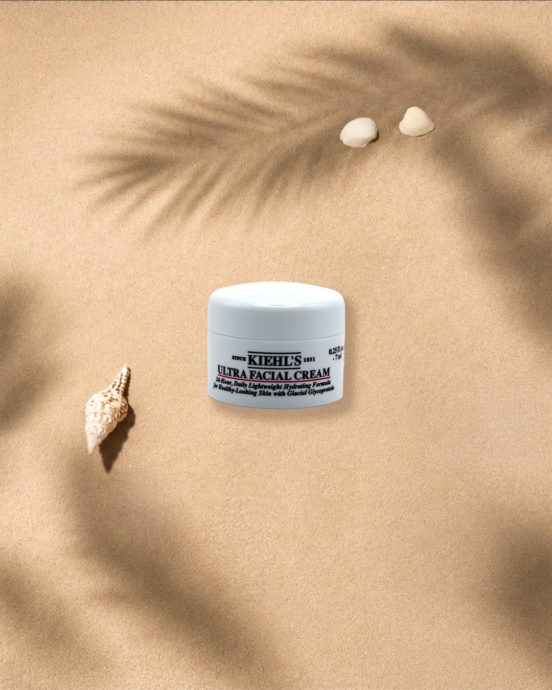 Die Kiehl's Ultra Facial Cream in einem weißen Tiegel mit schwarzer Schrift, die 24 Stunden Feuchtigkeit spendet, ist auf sandfarbenem Untergrund mit Muscheln und Palmenblattschatten platziert.