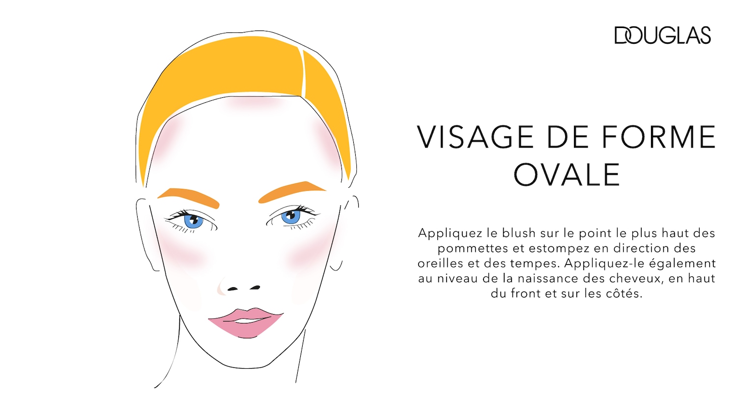 Le visuel présente un visage de forme ovale avec des zones de blush indiquées sur les pommettes, les tempes et la naissance des cheveux, accompagné d'instructions pour l'application du blush.