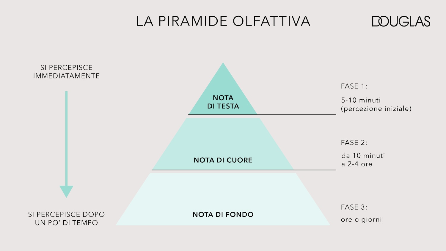 La piramide olfattiva di Douglas illustra le tre fasi di percezione di una fragranza: la nota di testa, percepita immediatamente per 5-10 minuti; la nota di cuore, che dura da 10 minuti a 2-4 ore; e la nota di fondo, che si percepisce per ore o giorni.