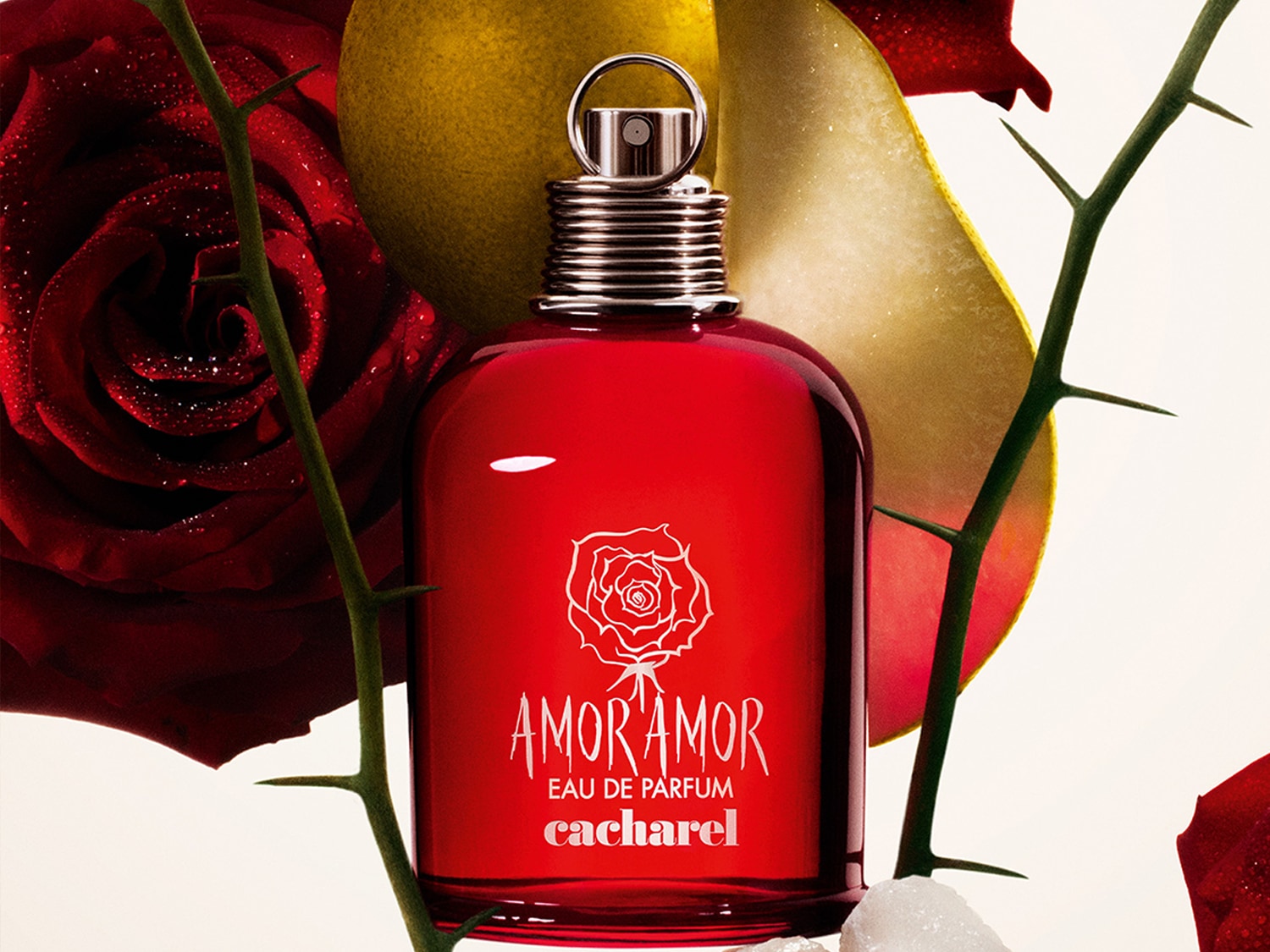Le parfum Amor Amor de Cacharel, dans son flacon rouge vif, est entouré de roses rouges, d'une branche épineuse et de tranches de fruits, évoquant une fragrance passionnée et fruitée.