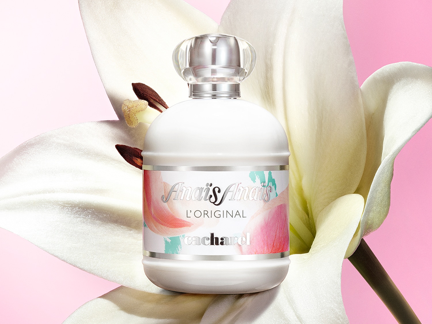 Le parfum Anais Anais L'Original de Cacharel est présenté dans un flacon blanc avec une étiquette florale rose et turquoise, posé sur une fleur de lys blanche sur un fond rose.