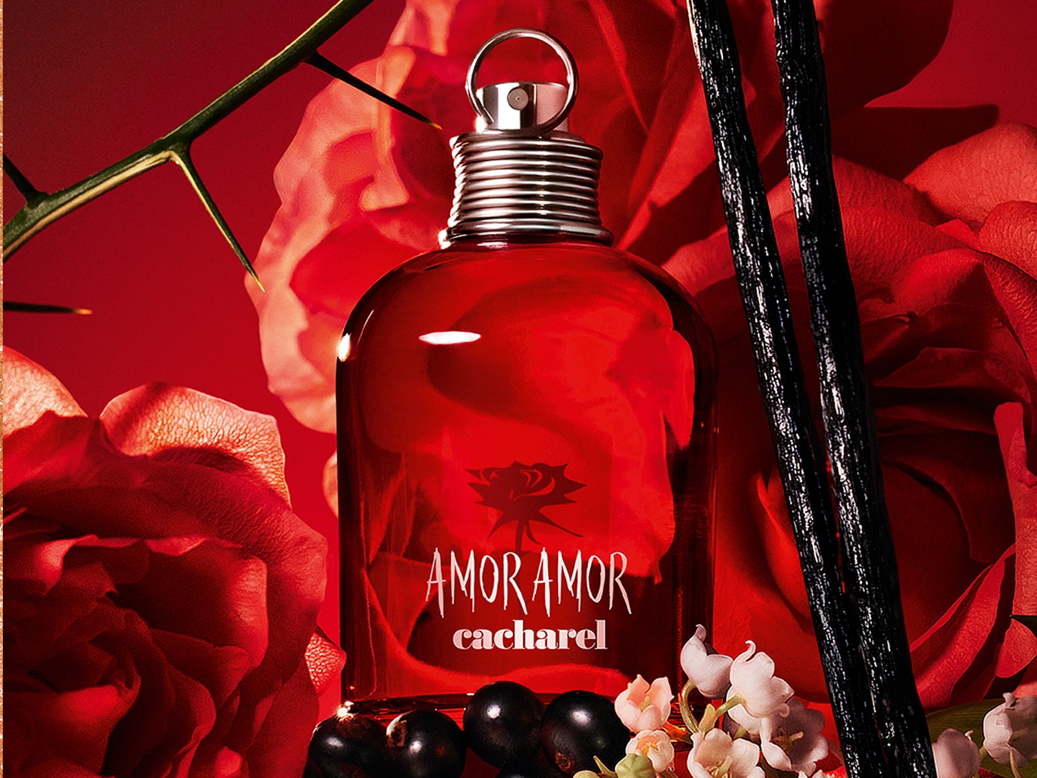 Le parfum Amor Amor de Cacharel est présenté dans une bouteille rouge vif avec un bouchon argenté, entouré de roses rouges, de baies noires, de petites fleurs blanches et de gousses de vanille noires, sur un fond rouge.