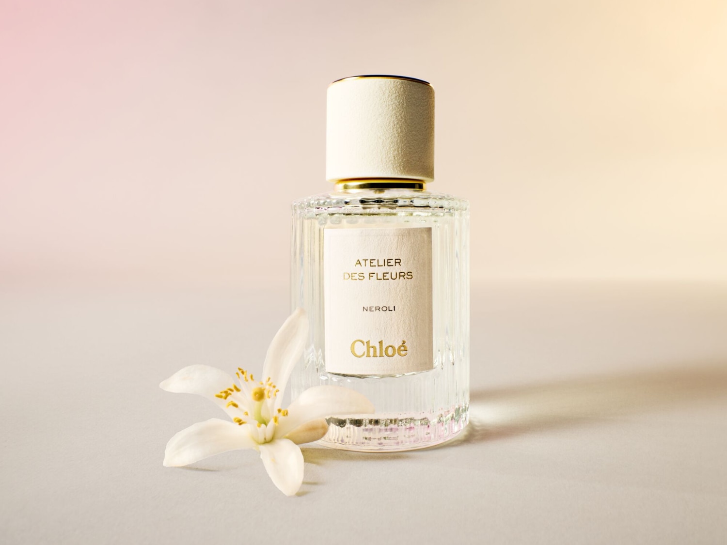 Perfumy Chloé Atelier des Fleurs Neroli w przezroczystej, prostokątnej butelce z białym korkiem i złotymi akcentami, obok której leży biały kwiat z żółtym środkiem.
