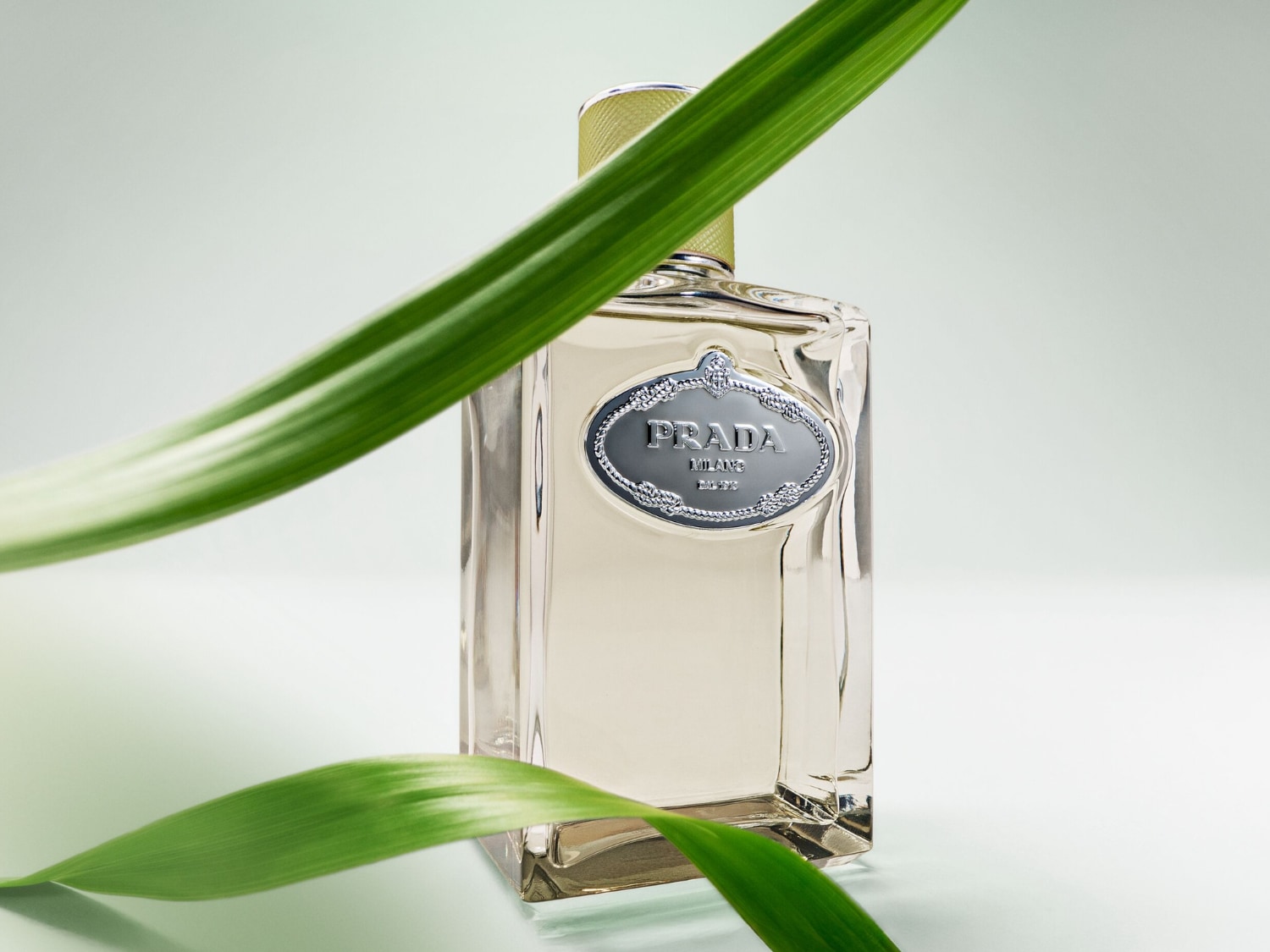 Prada Infusion d'Iris to elegancki flakon perfum z przezroczystego szkła, wypełniony jasnym płynem, ozdobiony srebrną etykietą z logo Prada i otoczony zielonymi liśćmi, co podkreśla jego naturalny i świeży charakter.