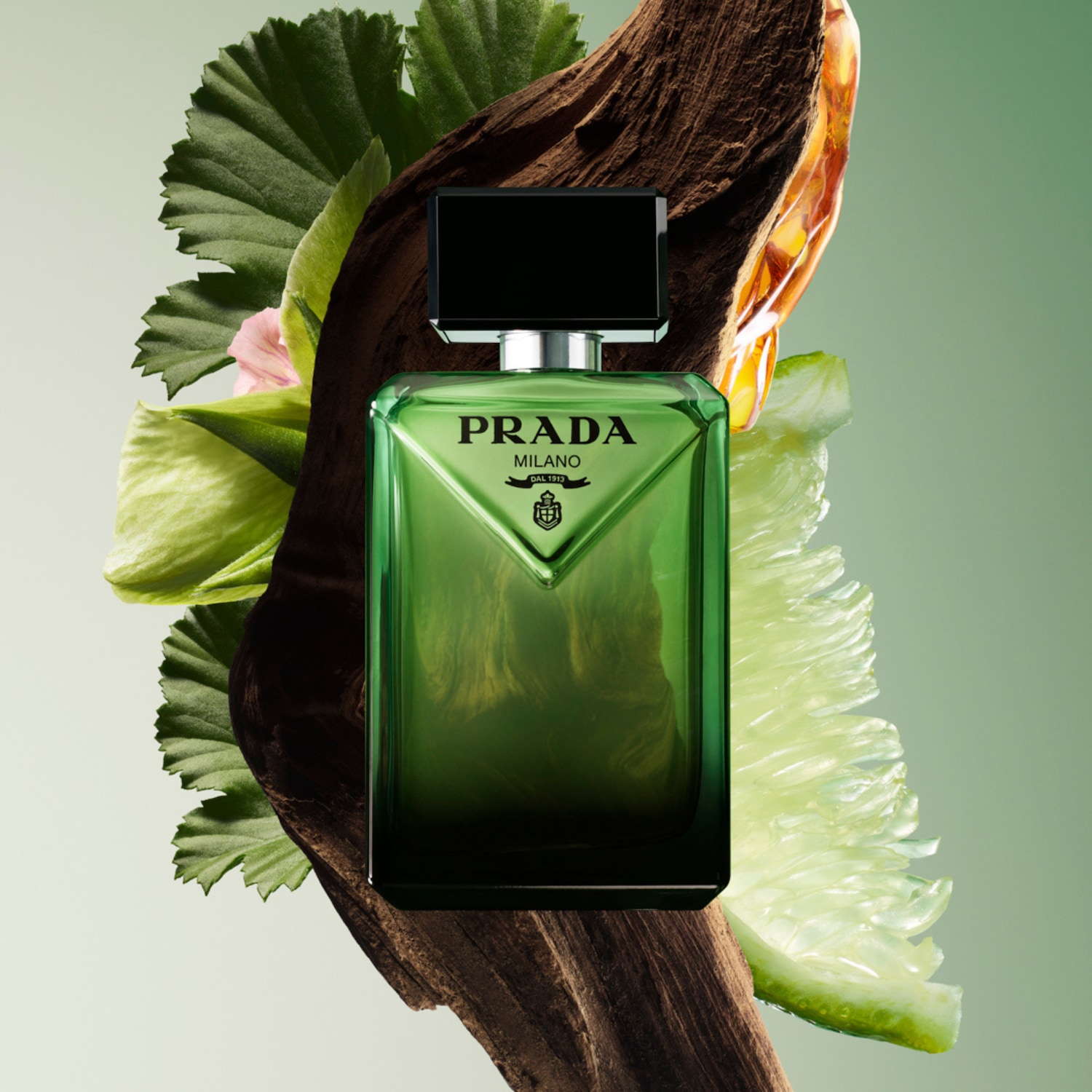 Le parfum Prada pour homme est présenté dans un flacon vert foncé avec un bouchon noir, entouré de feuilles vertes, d'un morceau de bois et d'une tranche de citron vert, sur un fond vert clair.