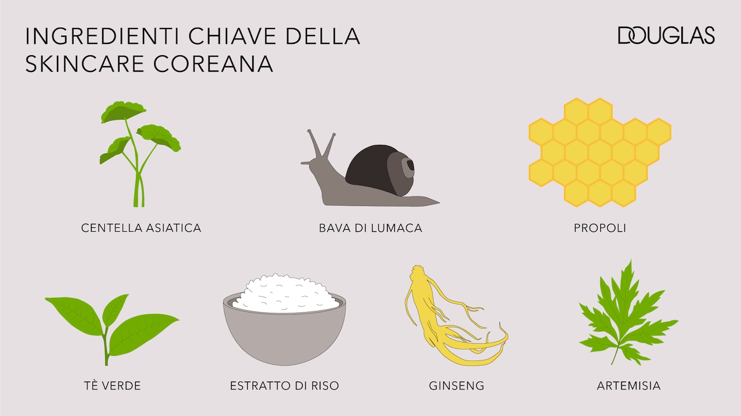 Scopri gli ingredienti chiave della skincare coreana, con un focus sulla Centella Asiatica, nota per le sue proprietà lenitive e rigeneranti.