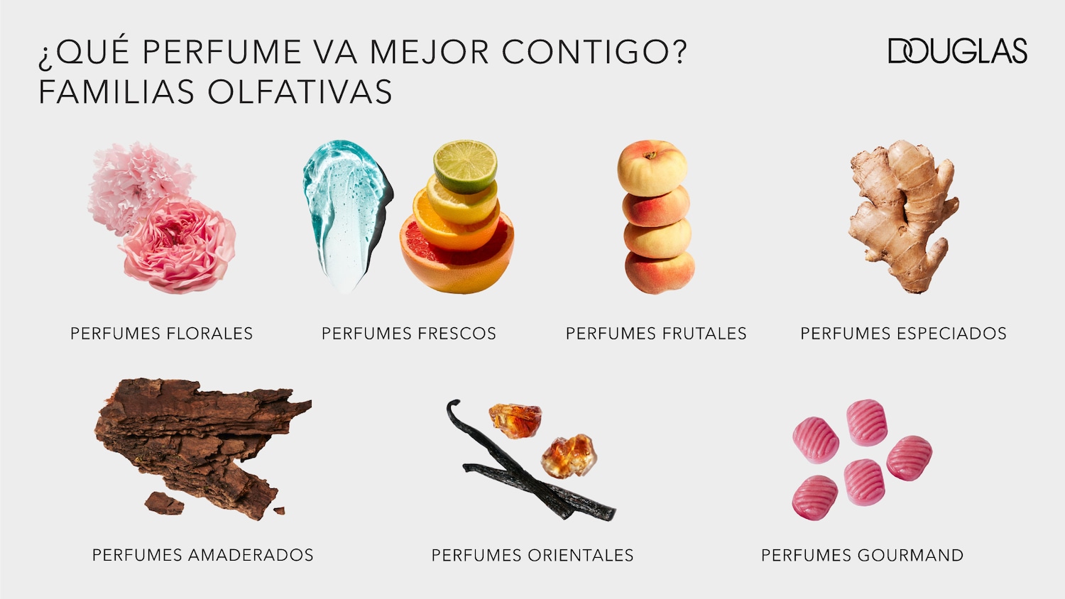 Descubre tu fragancia ideal con la guía de familias olfativas de Douglas, que incluye perfumes florales, frescos, frutales, especiados, amaderados, orientales y gourmand.