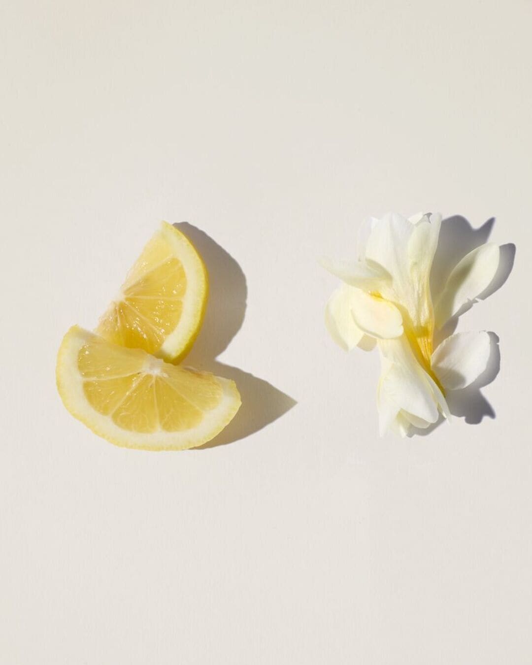 Deux tranches de citron jaune vif et une fleur blanche délicate sont posées sur une surface claire, créant une composition fraîche et lumineuse.