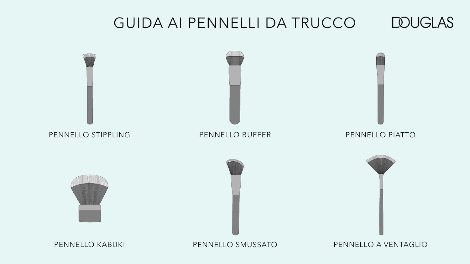 La guida ai pennelli da trucco Douglas presenta sei tipi di pennelli: stippling, buffer, piatto, kabuki, smussato e a ventaglio, ciascuno con un manico grigio e setole grigio scuro.