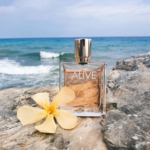 Düfte Beste Parfum Herren GÃ¼nstig Düfte Gute Parfums Damen