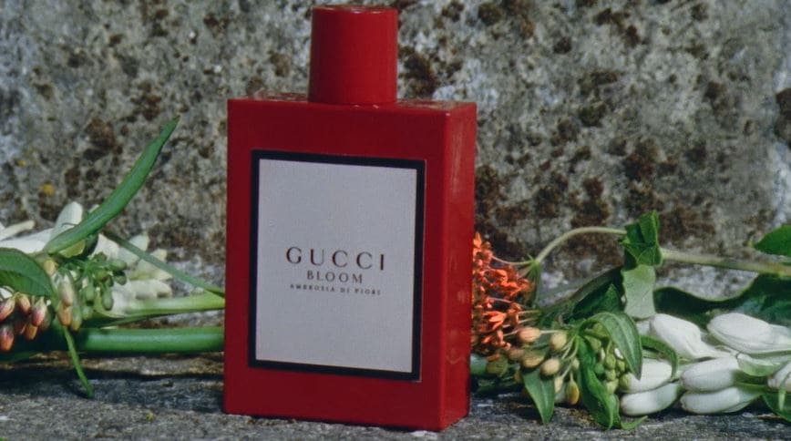 draad Pardon Lol Gucci Ambrosia Di Fiori ✔️ online kopen | DOUGLAS