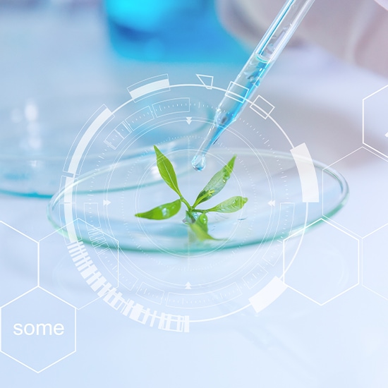 Kropla niebieskiego płynu spada z pipety na małą zieloną roślinę w szalce Petriego, otoczoną futurystycznymi elementami graficznymi.