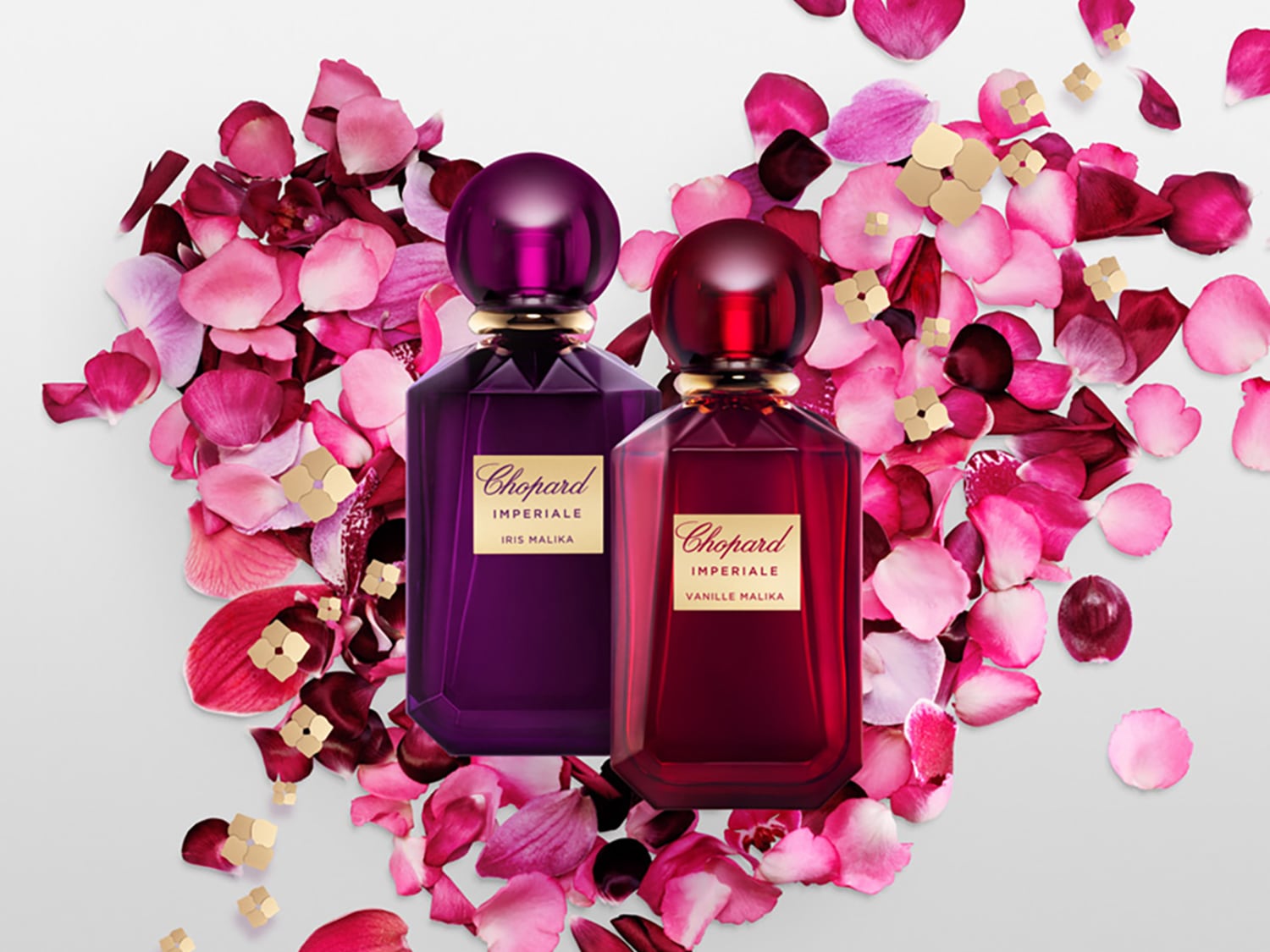 Dwa flakony perfum Chopard Imperiale, jeden fioletowy Iris Malika, drugi czerwony Vanille Malika, otoczone płatkami róż i złotymi ozdobami w kształcie kwiatów.